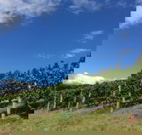 Freycinet Vineyard - Events Australia