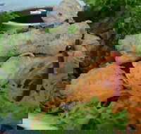 Green Bamboo - Events Australia