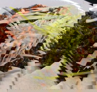 Rising Sun Hotel - Events Australia