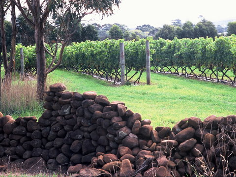 Spring Vale Vineyard - Events Australia 0