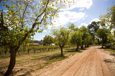 Tahbilk Winery And Vineyard - Events Australia 1