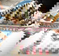 Terrigal Ice Creamery - Events Australia