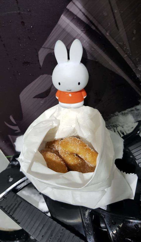 Danjee - Events Australia 0