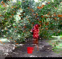 Fords Farm - Events Australia