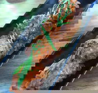 Verrano - Events Australia