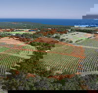 Wise Wine - Tourism Bookings