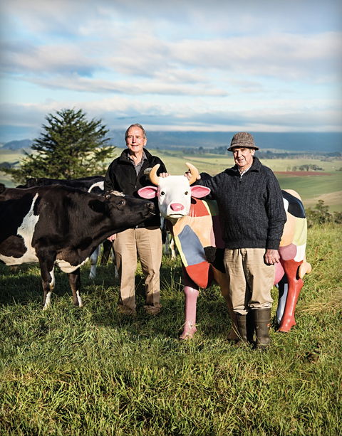 Ashgrove Farm Cheese - Accommodation Europe 1