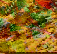 Caroline Thai Restaurant - Events Australia