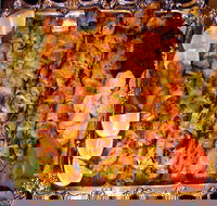 Charcoal Fire Indian and Persian Restaurant - Events Australia