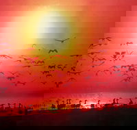 Fannie Bay Super Pizza - Events Australia