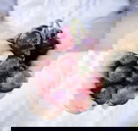 Granitevale Winery - Tourism Bookings