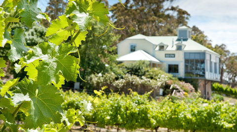 Hahndorf Hill Winery - Tourism Bookings 2