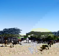 Hillock Downs Produce Store - Events Australia