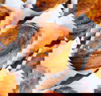 PAFU - Events Australia