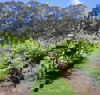 Woongooroo Estate Winery - Events Australia