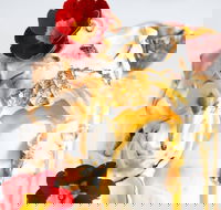 Bess Bar - Events Australia