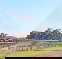 Blacklea Vineyard and Olive Grove - Events Australia