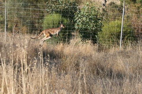 Hahndorf Venison - Tourism Bookings 2