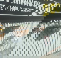 Let Minnow 2 Go - Events Australia