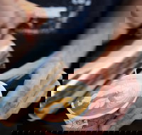 Soul Origin - Robina - Events Australia