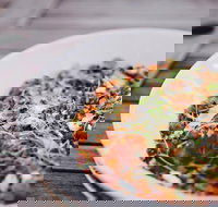 Camden Valley Inn - Events Australia