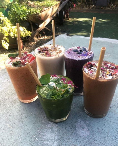 Garden Grub Cafe - Accommodation Europe 0
