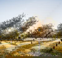 Guneemooroo Estate - Events Australia