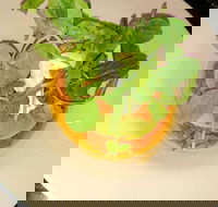 Harvey's Bar - Events Australia