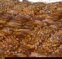 Kolachi - Events Australia