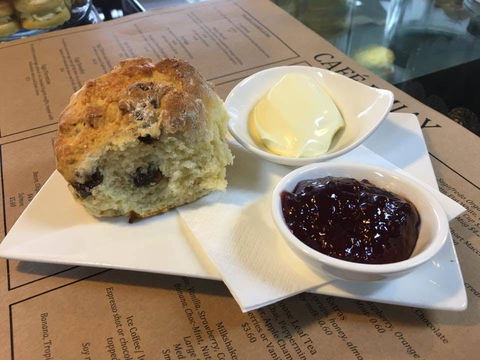 Larder - Tourism Bookings 0