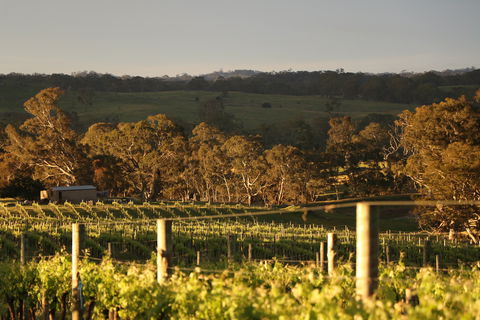 Max & Me Wine Tasting @ Eden Valley Hotel - Accommodation Europe 1