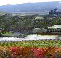 Milton Vineyard - Tourism Bookings