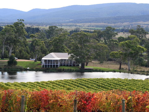Milton Vineyard - Tourism Bookings 0