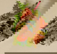 MM Fish  Chips - Events Australia