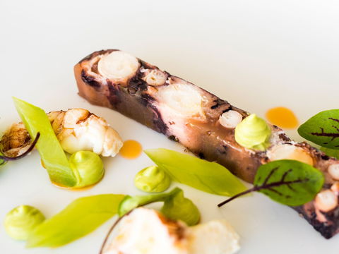 The Wild Herring - Tourism Bookings 0