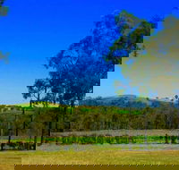 Degen Wines - Tourism Bookings