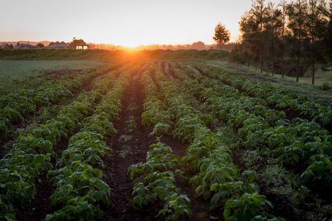 Phoenix Park Farm Gate - Events Australia 0