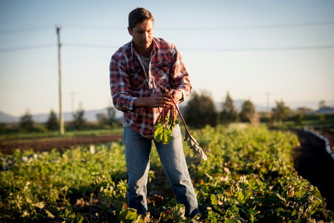 Phoenix Park Farm Gate - Events Australia 1