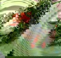 Snackleberry - Events Australia