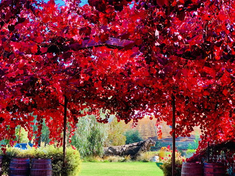 Gomersal Wines - Tourism Bookings 1