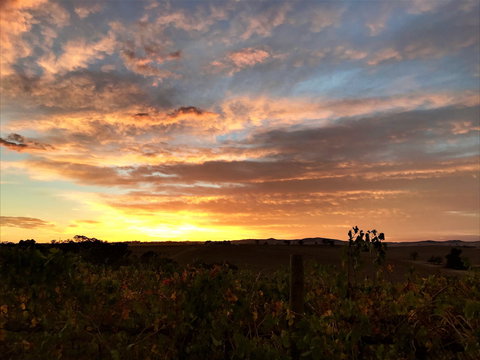 Gomersal Wines - Tourism Bookings 2