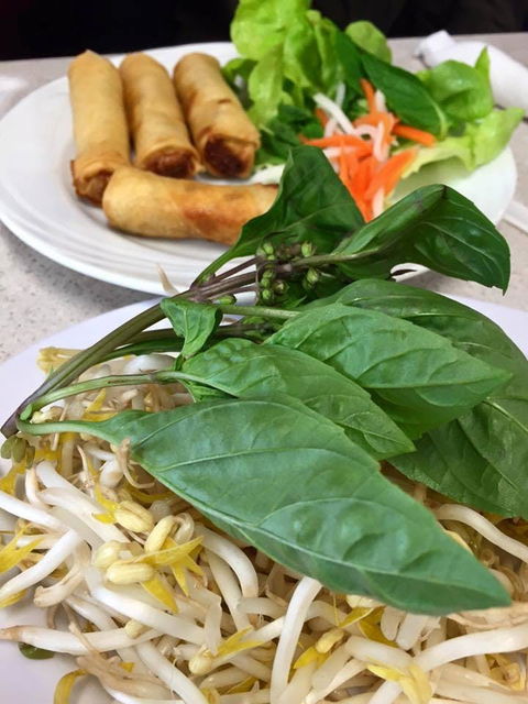 PHO 234 - Events Australia 0