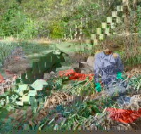 Sweet Water Farm - Events Australia