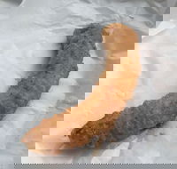 Blue Ocean - Events Australia