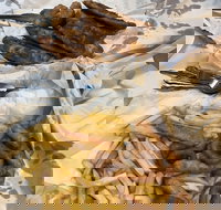 Miami Fish and Chip Shack - Events Australia