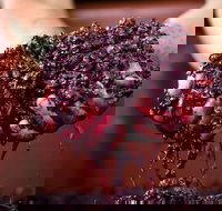 Punt Road Winery - Events Australia