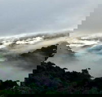 The Mushroom at Waratah - Events Australia