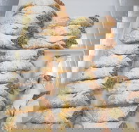 Theos Greek Cakes - Events Australia