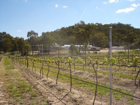 Banca Ridge Cellar Door And Vineyard - Events Australia 2