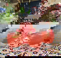 Fillippo's - Campbelltown - Events Australia